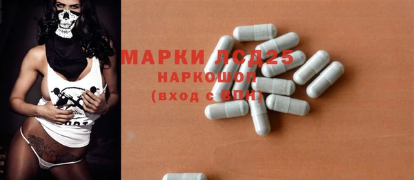 молекула духа Вяземский