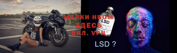 молекула духа Вяземский
