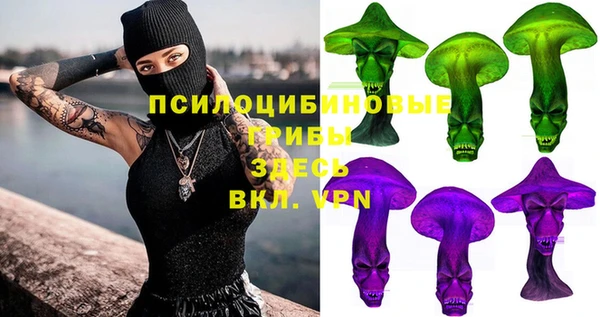 спиды Горно-Алтайск