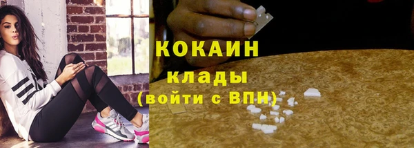 ПСИЛОЦИБИНОВЫЕ ГРИБЫ Вязники