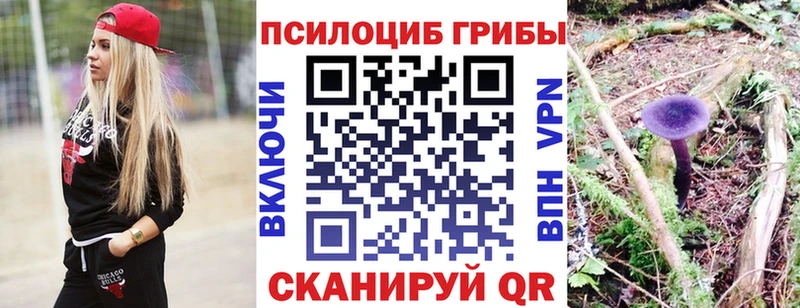 Псилоцибиновые грибы мухоморы  Купить  Новопавловск 